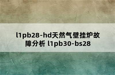 l1pb28-hd天然气壁挂炉故障分析 l1pb30-bs28